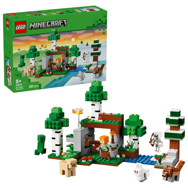 (image for) 21593 First Night Adventure